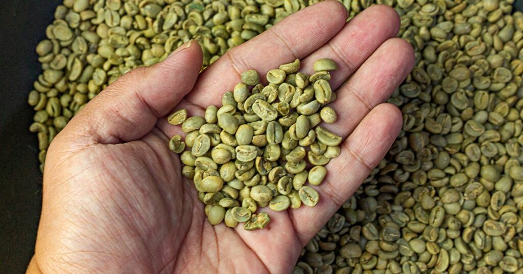  café verde tem cafeína