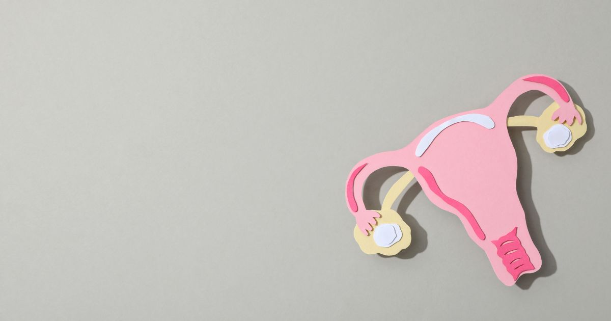 Saúde Óssea na Menopausa